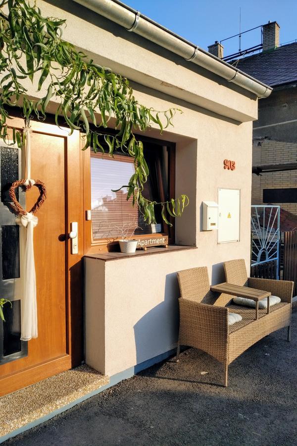 Apartment Vaclavov Decin Exterior foto